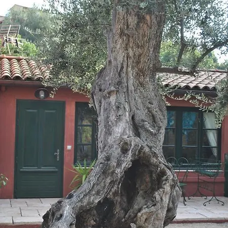 Sous L'olivier Μεντόν