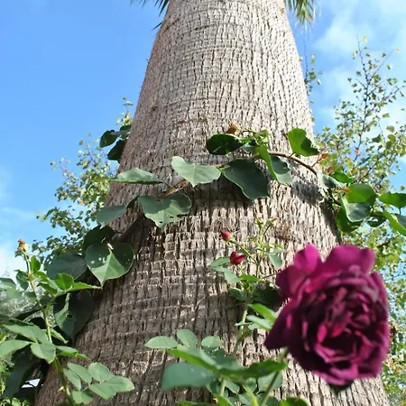 Πανσιόν Sous L'olivier 3*