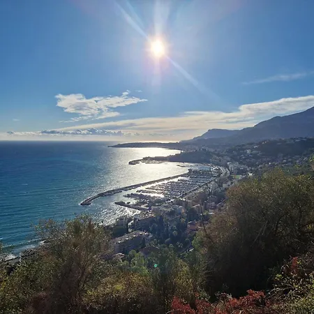 Sous L'olivier Πανσιόν