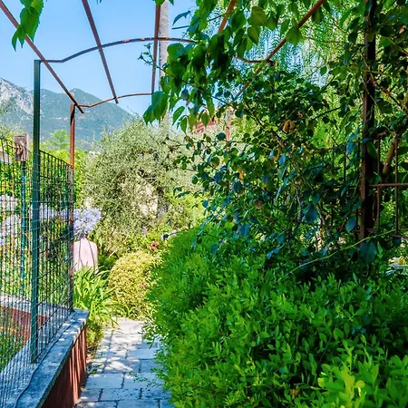 Sous L'olivier 3* Μεντόν