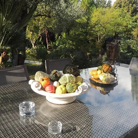 Sous L'olivier 3* Μεντόν