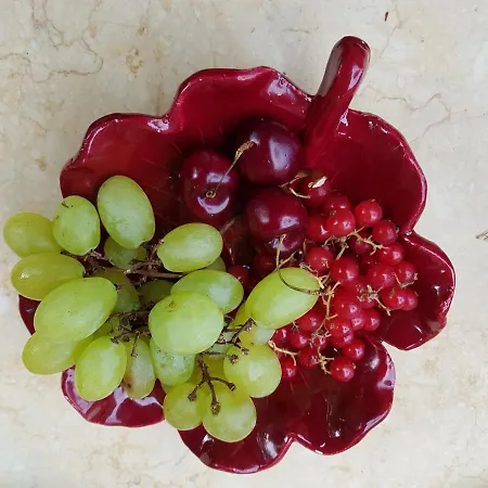 Πανσιόν Sous L'olivier 3*