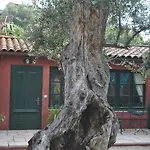 Sous L'olivier マントン