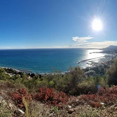 Sous L'olivier Menton