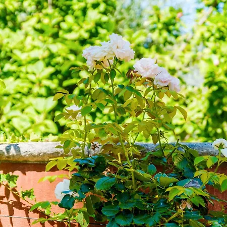 Sous L'olivier Vendégház Menton