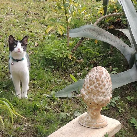 Sous L'olivier Frühstückspension *