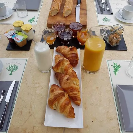 Sous L'olivier Pensjonat 3*