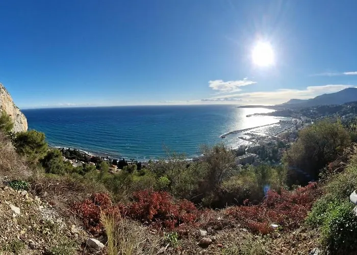 Sous L'olivier Menton