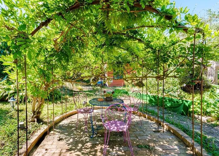 Sous L'olivier Penzion